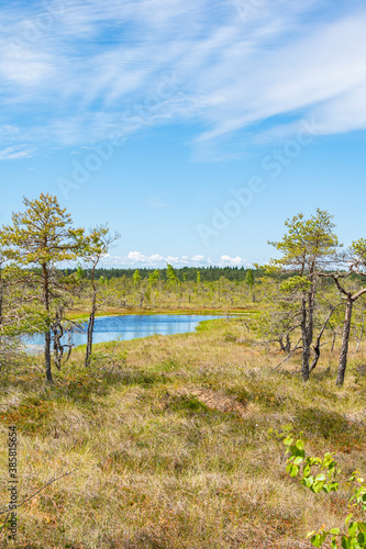 Foto View of The Kemeri National Park, Latvia