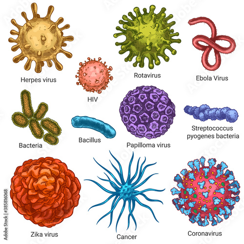 Viruses. Sketch color herpes, hiv and papilloma, zika and coronavirus. Cancer, streptococcus cells. Germs and bacteria isolated vector set. Illustration coronavirus disease, bacteria infection