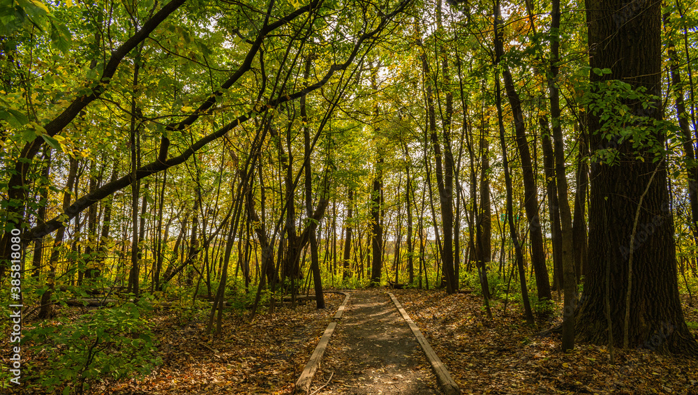 Maizerets Park in Quebec city, mid autumn