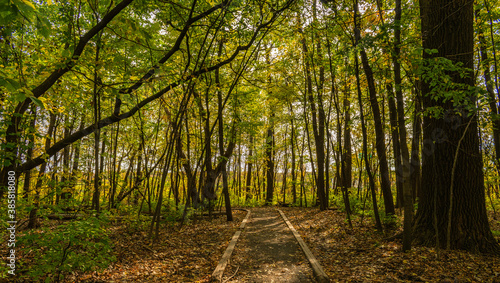 Maizerets Park in Quebec city, mid autumn