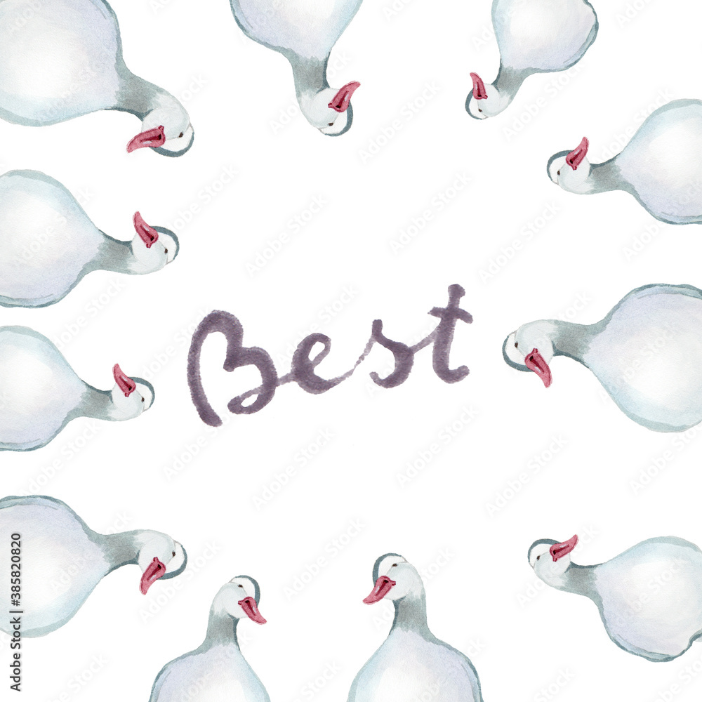 Obraz premium watercolor illustration live border of ducks,lettering,animals ,postcard