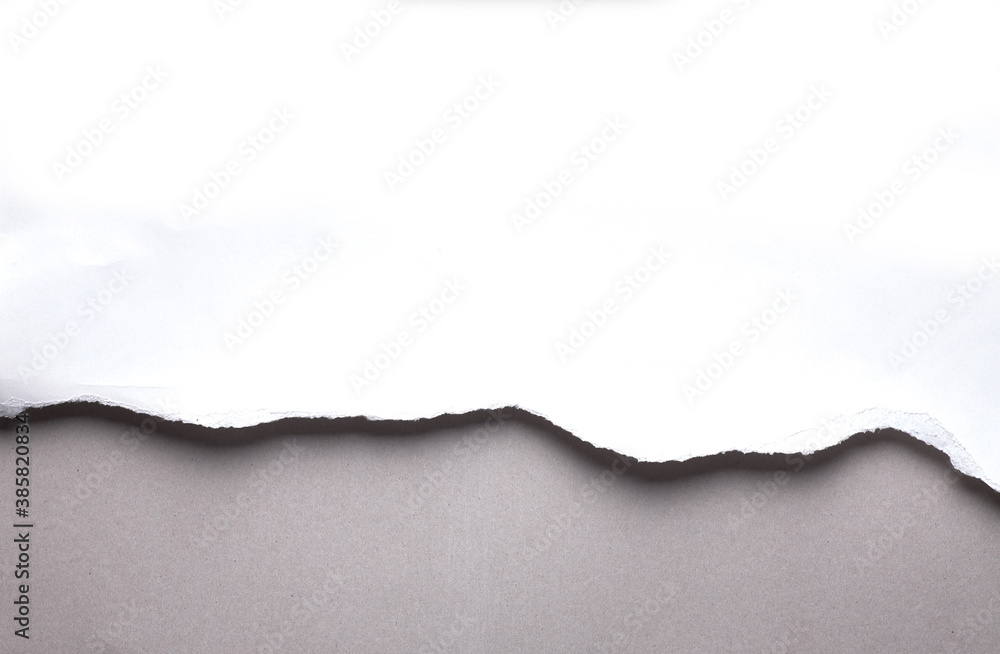 White torn paper on gray background. collection paper rip