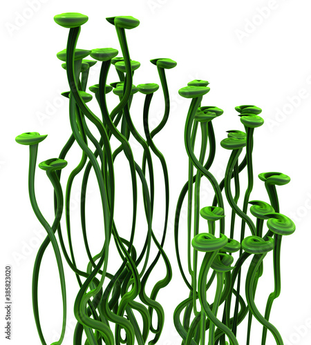 Plant Vines Green, Pad Tendrils