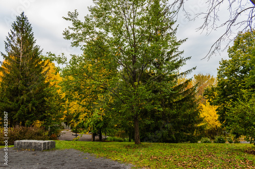 Maizerets park in Quebec city, mid autumn photo