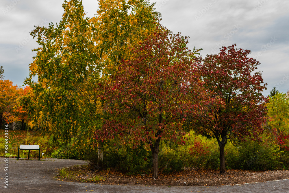 Naklejka premium Maizerets park in Quebec city, mid autumn