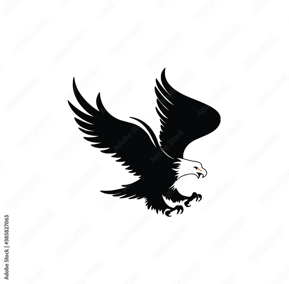 eagle in flight eagle in flight