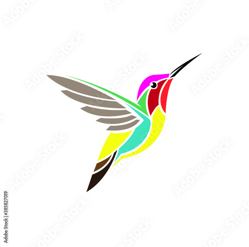 hummingbird and flower
