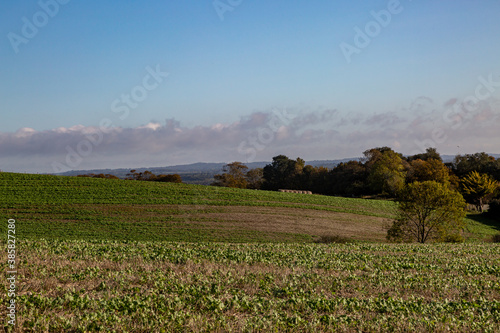 A Rural Sussex Landscape