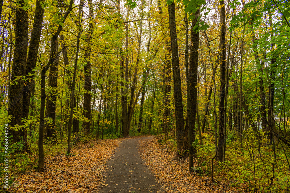 Fototapeta premium Maizerets park in Quebec city, mid autumn