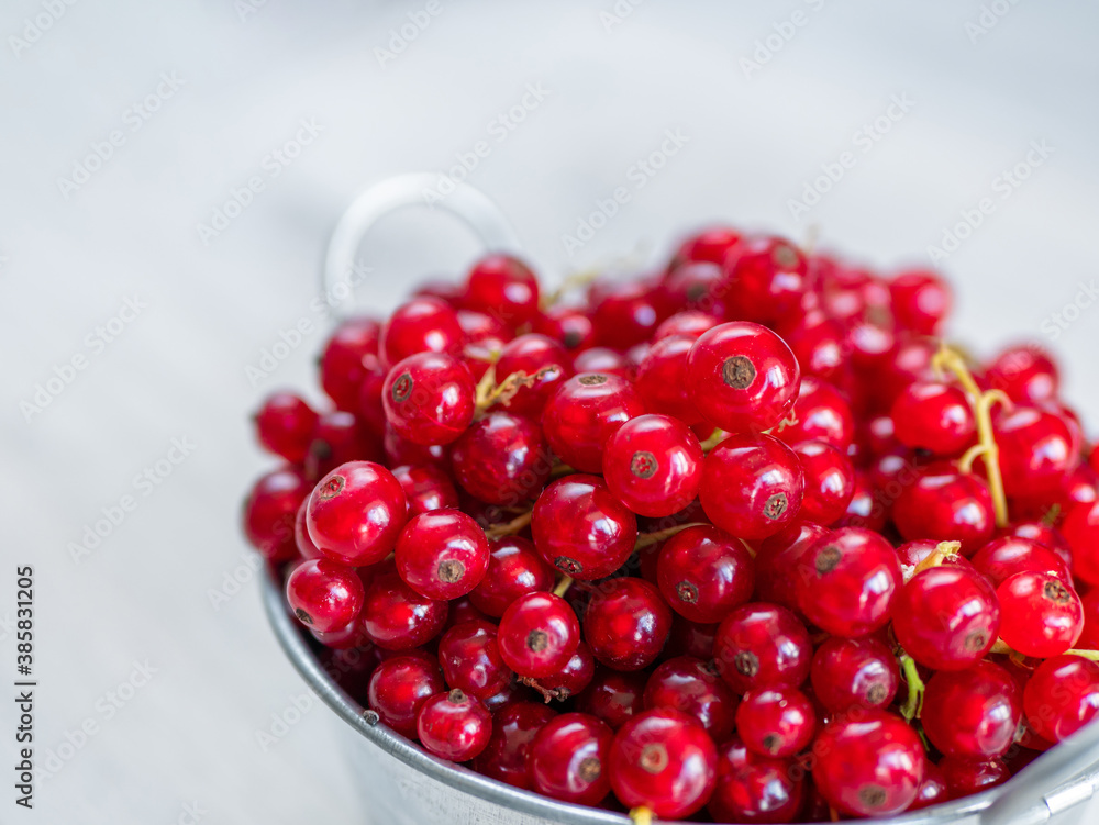 A metal basin filled with red currants A metal basin filled with red currants