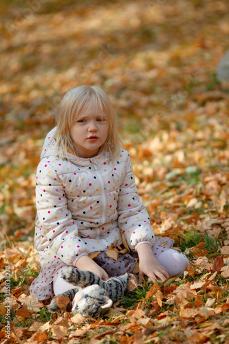 Adorable blond girl sitting on yellow fallen leaves playing with her favorite toy grey cat on a beautiful autumn day. Playing outdoors in the park.