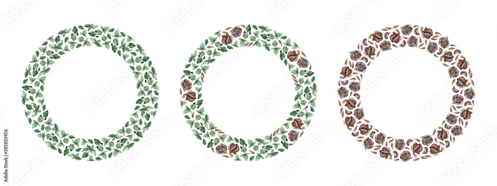 Three wreaths of garlic cloves and bulbs and green basil twigs and leaves, isolated on white. Watercolour illustration. For cards, invitations, recipe, menu, cookbook, stationery and packaging design. Three wreaths of garlic cloves and bulbs and green basil twigs and leaves, isolated on white. Watercolour illustration. For cards, invitations, recipe, menu, cookbook, stationery and packaging design.