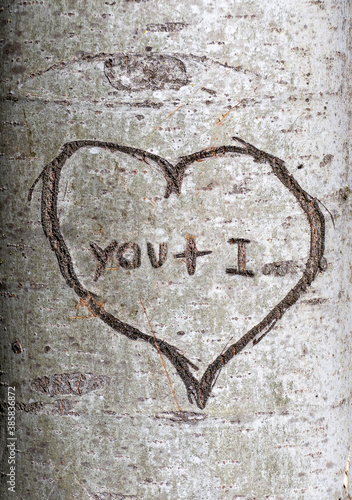 Obraz na plátne You and I