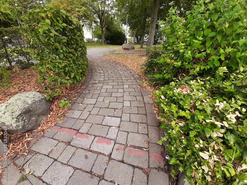 decorative stone pavement road in the park
decorative stone pavement road in the park