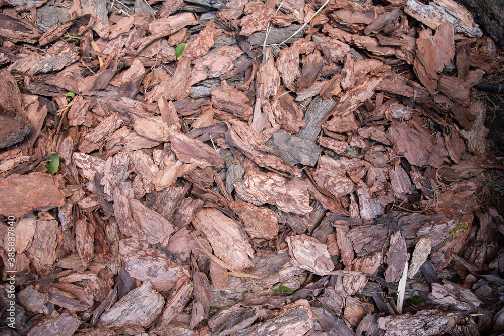 decorative bark. brown chips bark particles for ornamental garden