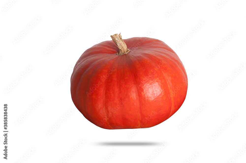 red pumpkin isolated on white background side view red pumpkin isolated on white background side view
