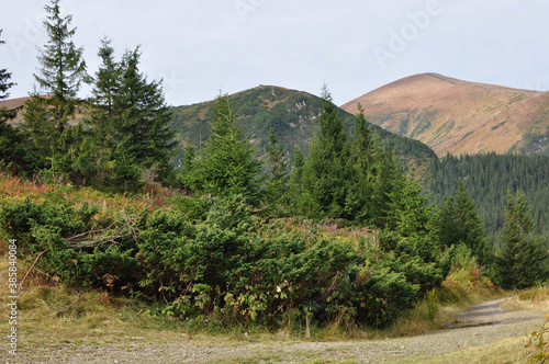 Panorama of mountain landscape, Carpathians, Verkhovyna photo