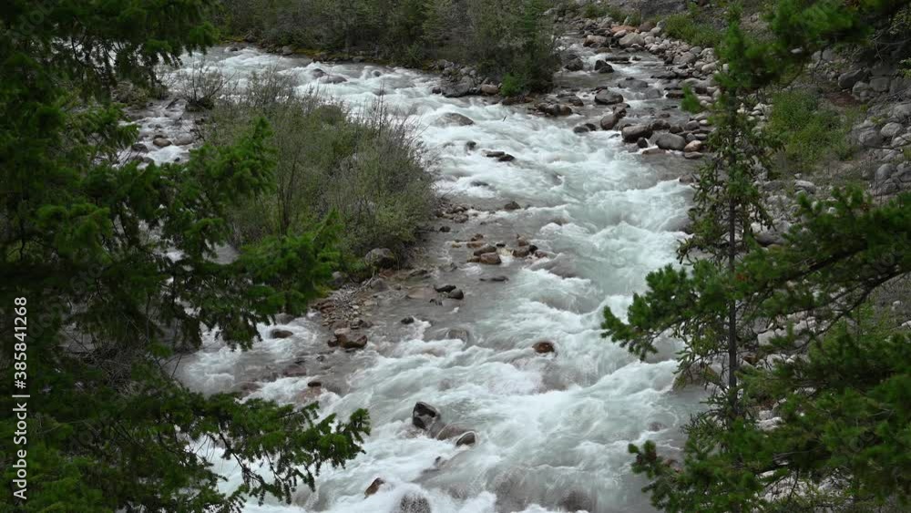 Looking down on a beautiful mountain river with whitewater flowing around round boulders. Green pine trees frame the scene.
Looking down on a beautiful mountain river with whitewater flowing around round boulders. Green pine trees frame the scene.