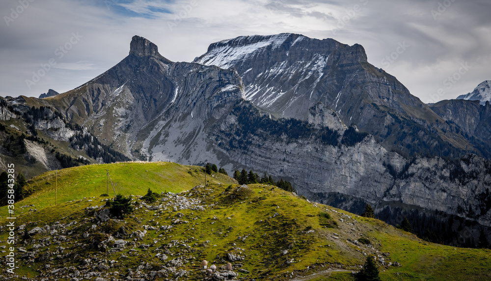 Wonderful panoramic view over the Swiss Alps - view from Schynige Platte Mountain - travel photography