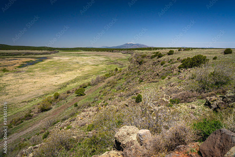Φωτογραφία This is the dryness of the earth encountered near the shorelines of both Upper and Lower Lake Mary near Flagstaff, Arizona