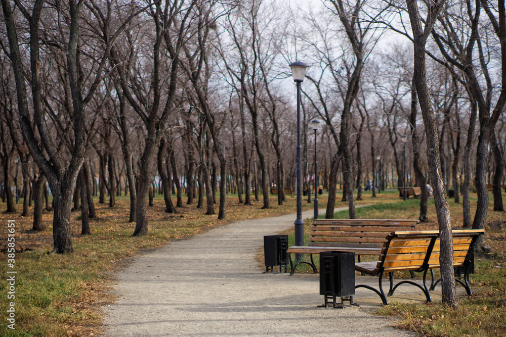Empty benches, trash cans and a lantern next to the path in the autumn park. Change of seasons