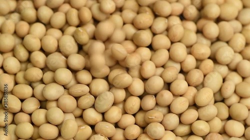 Dry raw soya beans falling, slow motion