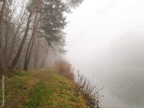 Foggy autumn landscape. Lake, water and pine trees in the fog. Trees reflection in the water. Foggy, milky, gray sky. Germany, Brandenburg.