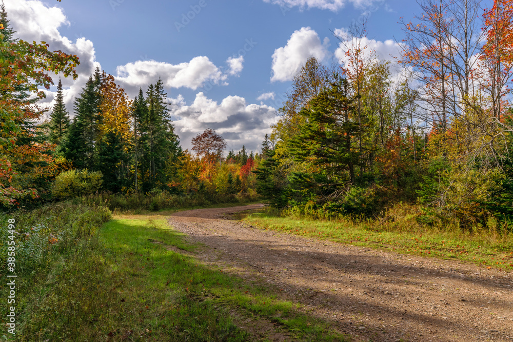 Dirt road on a sunny autumn day - A dirt road through the woodland of rural Cape Breton, Nova Scotia, Canada on a beautiful autumn day.