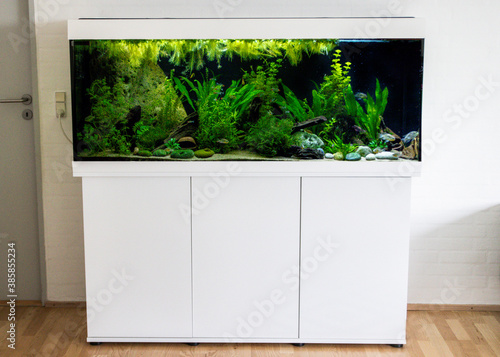 Beautiful white aquarium with plants. 450 liters. 