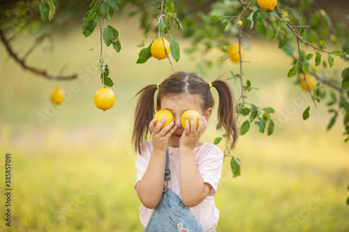 Cute little girl in nature with lemon under lemon tree in summer