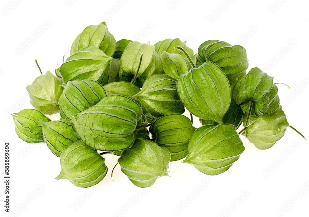 Unripe green physalis fruit on white background Unripe green physalis fruit on white background
