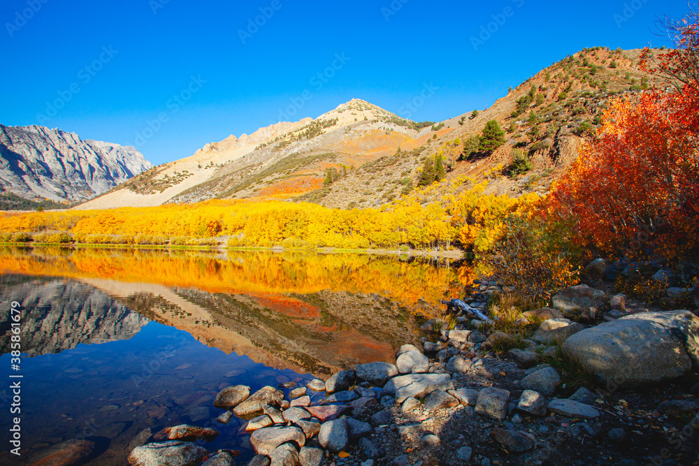 North Lake Fall Color,  Eastern Sierra, California