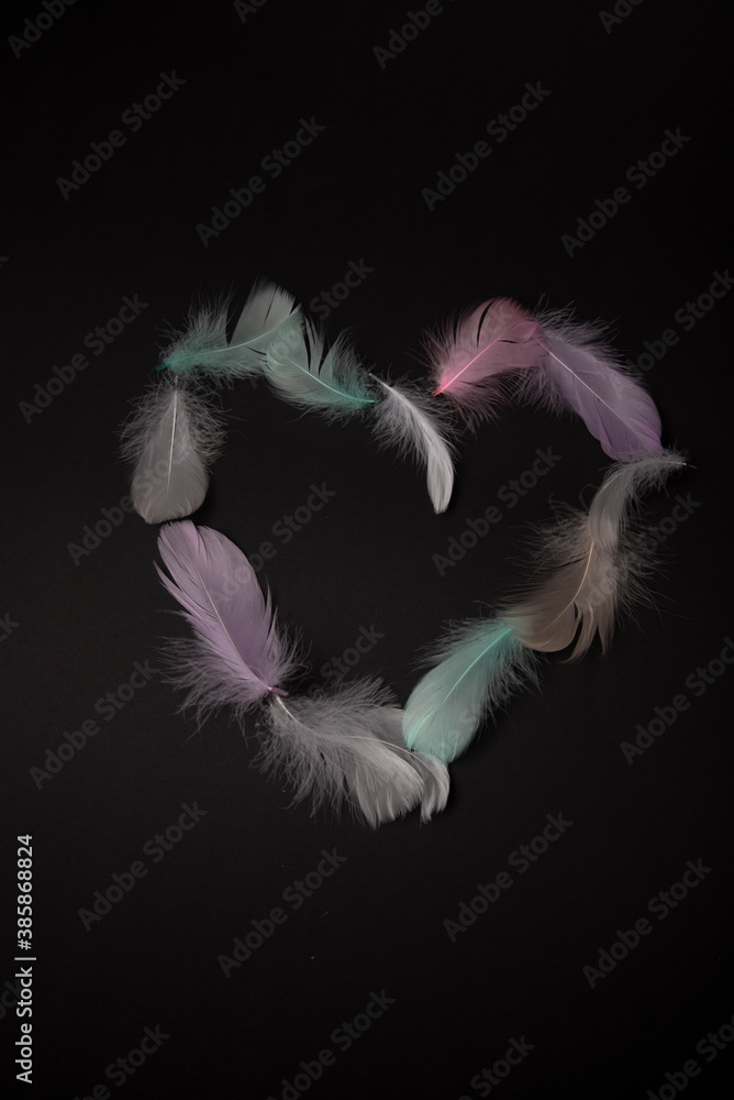 Obraz premium white feather on black