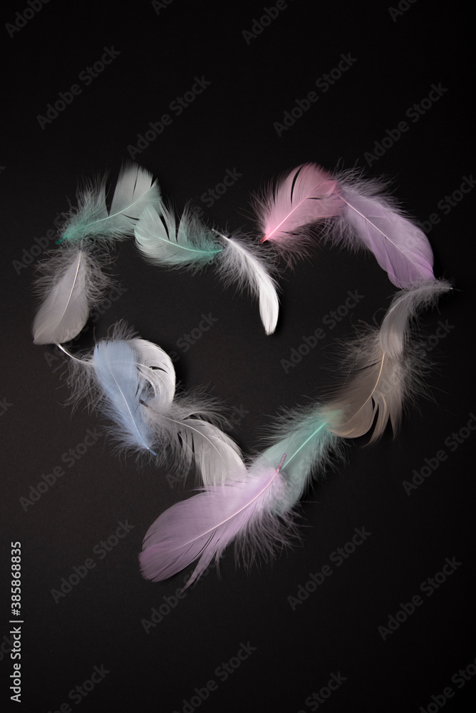 Obraz premium white feather isolated on black