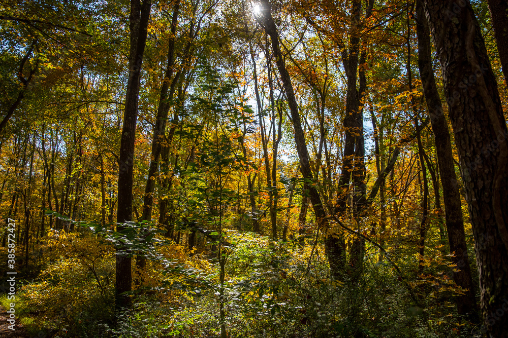 Fototapeta premium The fantastic colors of the mountains in the autumn months in upstate New York..