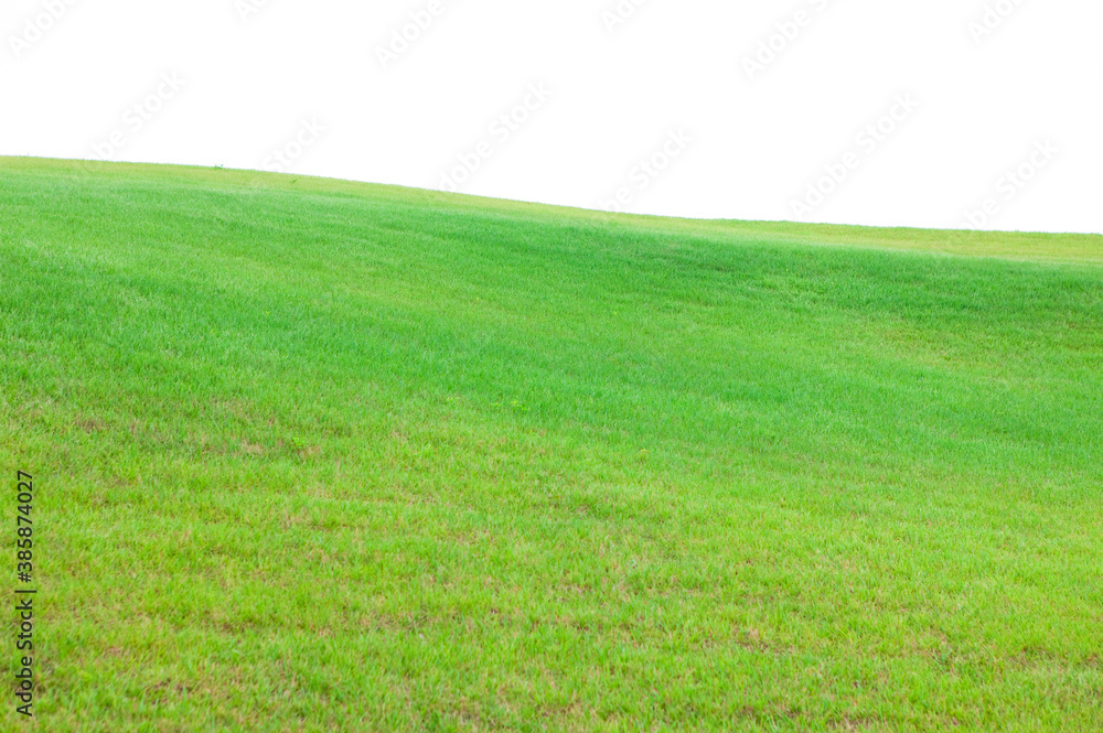 ゴルフ場の芝生