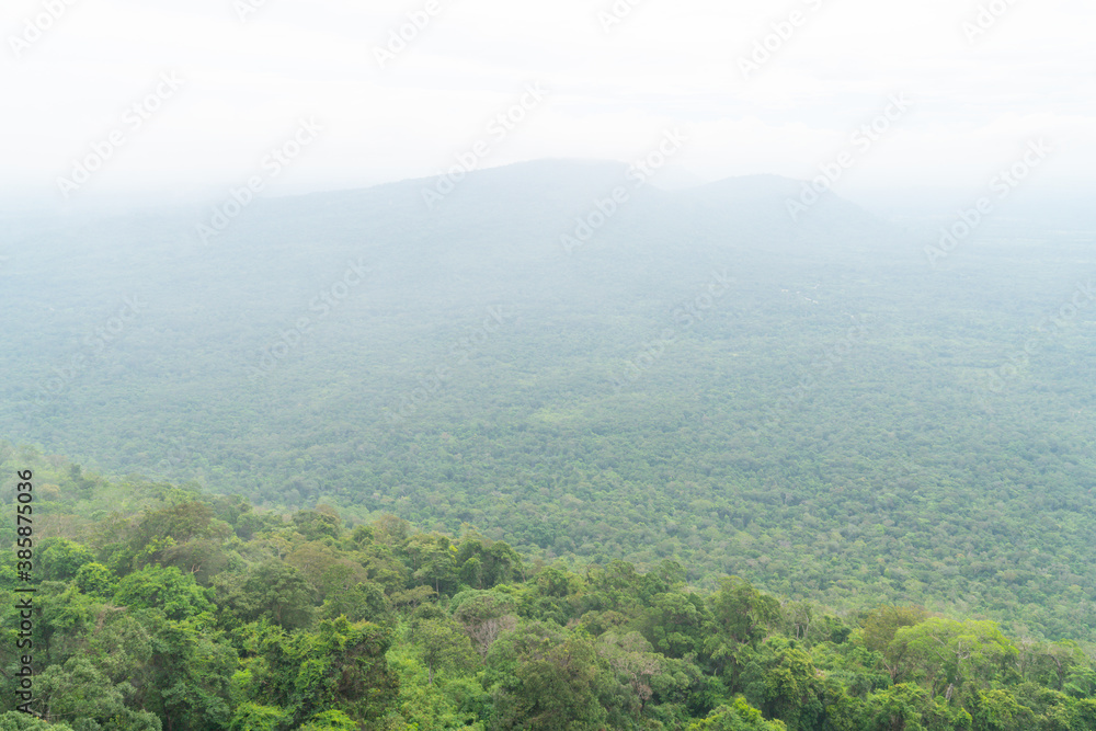 Fog covering a mountain covered in trees and plants,rainforest tropical background