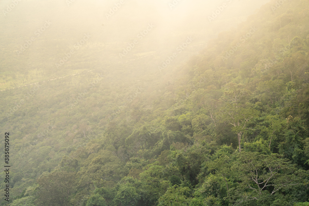 Fog covering a mountain covered in trees and plants,rainforest tropical background Fog covering a mountain covered in trees and plants,rainforest tropical background