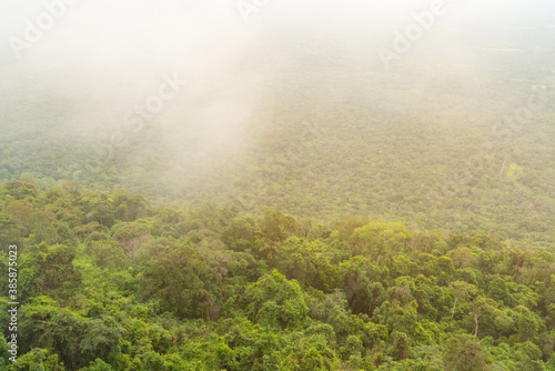 Fog covering a mountain covered in trees and plants rainforest tropical background