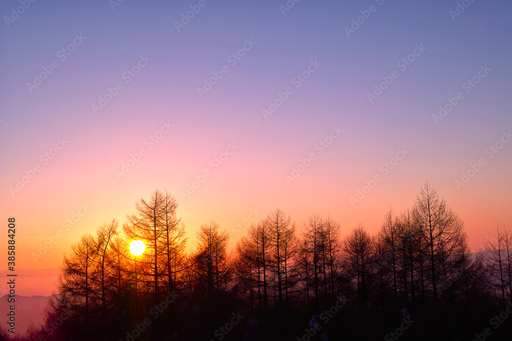 Obraz premium 夕陽