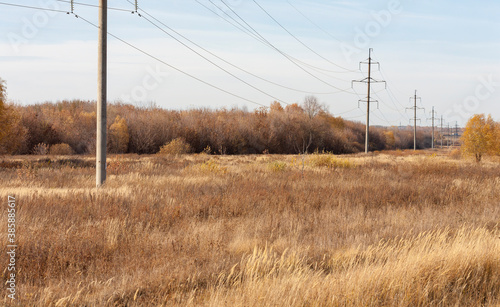 Autumn landscape with poles and wires. Selective focus.