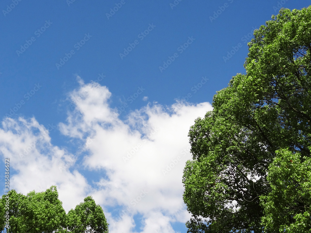 白い雲と青空