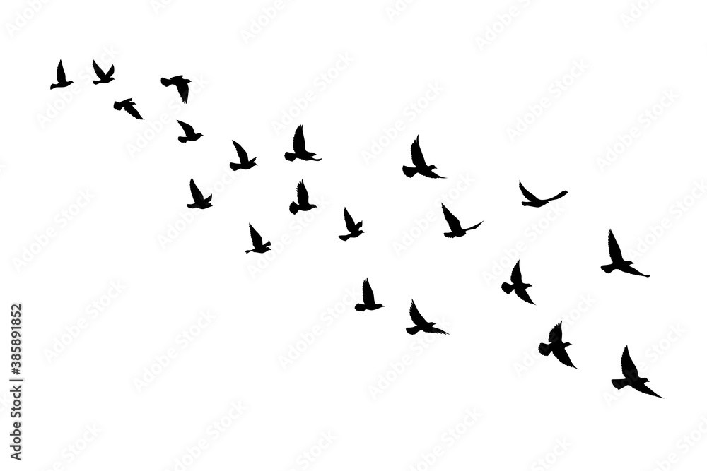 Flying Bird Silhouette Tattoo Stencil