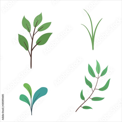 Isolated leaves and grass design of Natural floral nature and plant theme Vector illustration