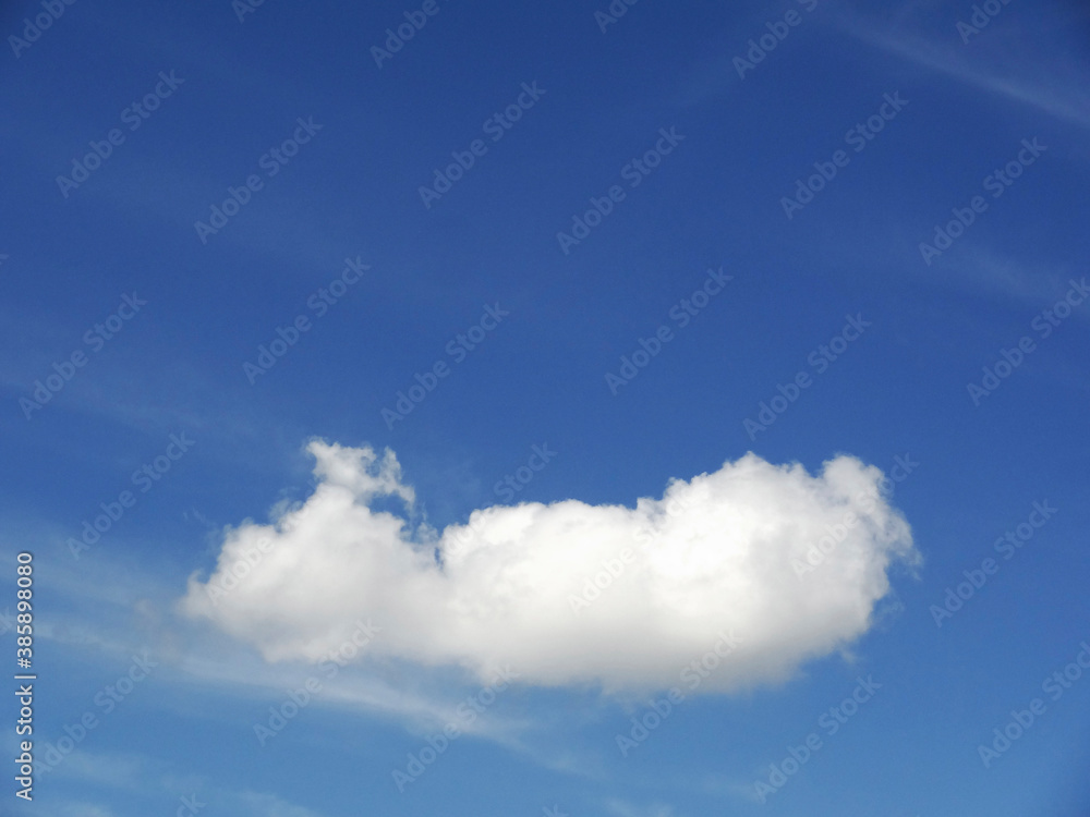 Obraz premium 青空と白い雲