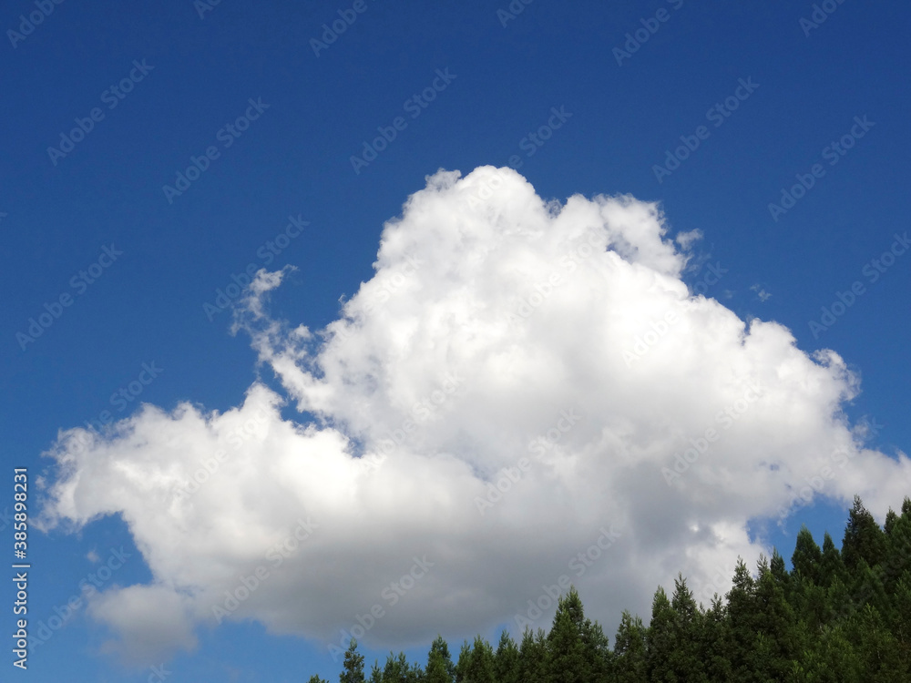 青空と白い雲