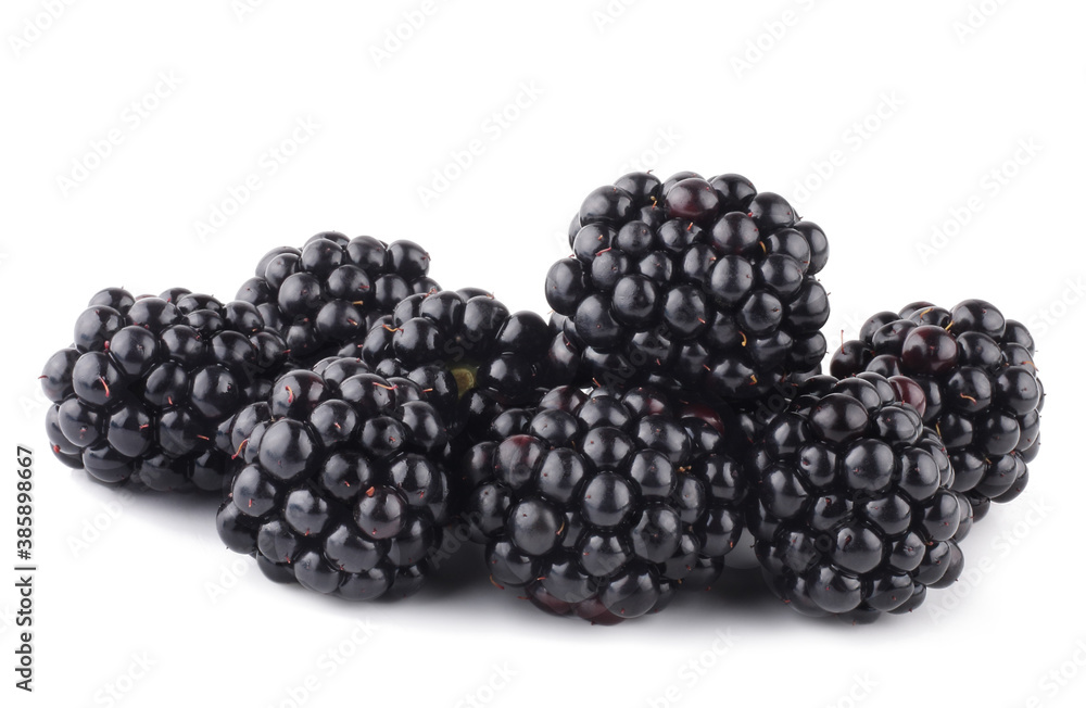 Blackberries isolated on white background Blackberries isolated on white background