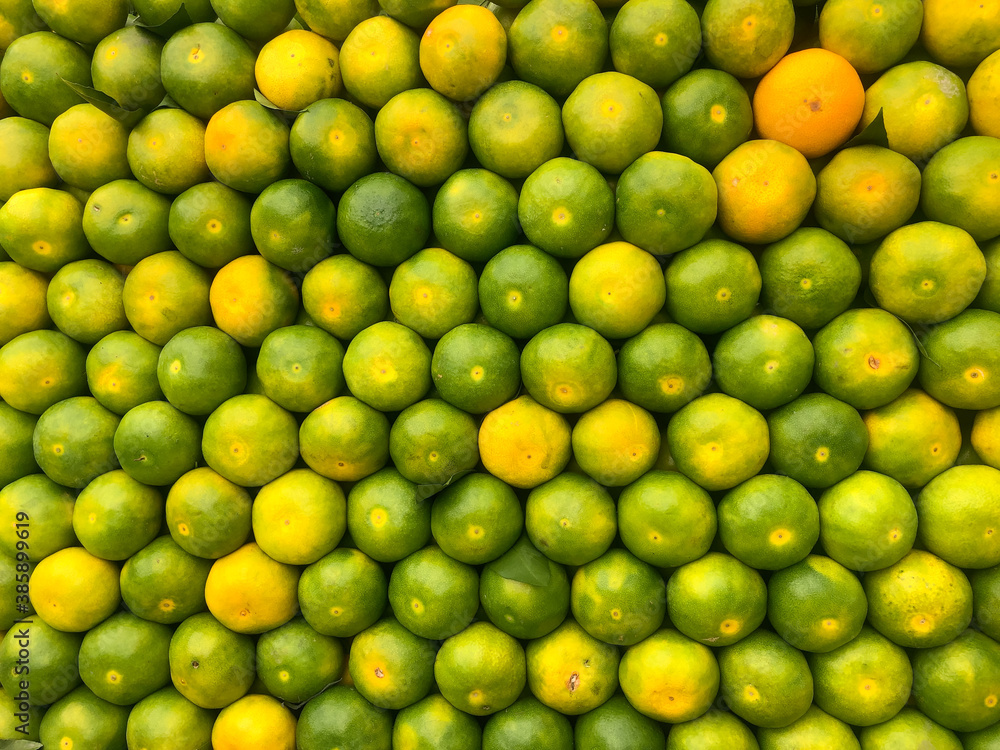 marketing and presentation techniques of tangerines marketing and presentation techniques of tangerines
