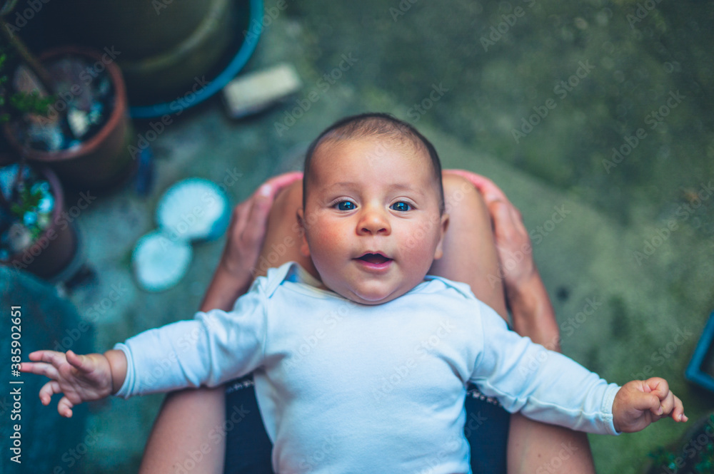 Fototapeta premium Baby resting in his mother's lap outdoors