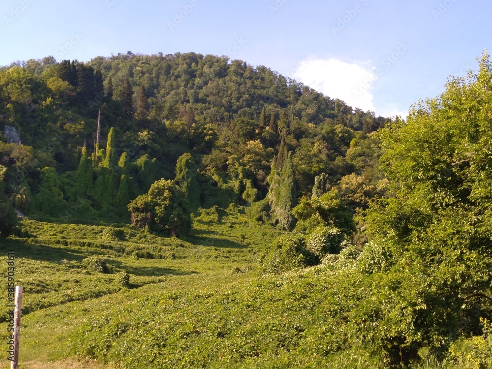 Obraz premium autumn in the mountains